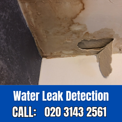 Expert Water Leak Detection Services in Nunhead | Nunhead Leak Detection